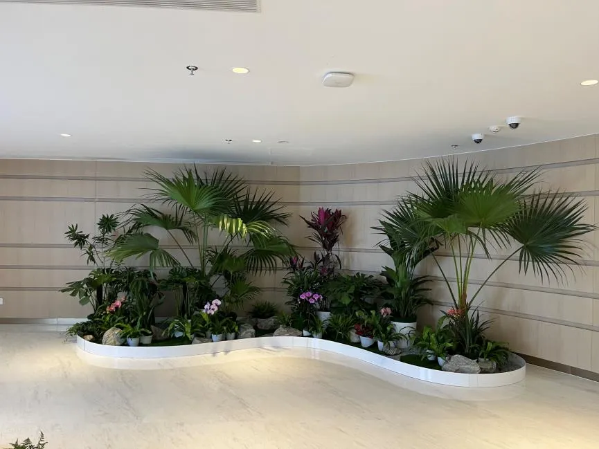 想找实惠绿植出租？宁波鄞州这里别错过！